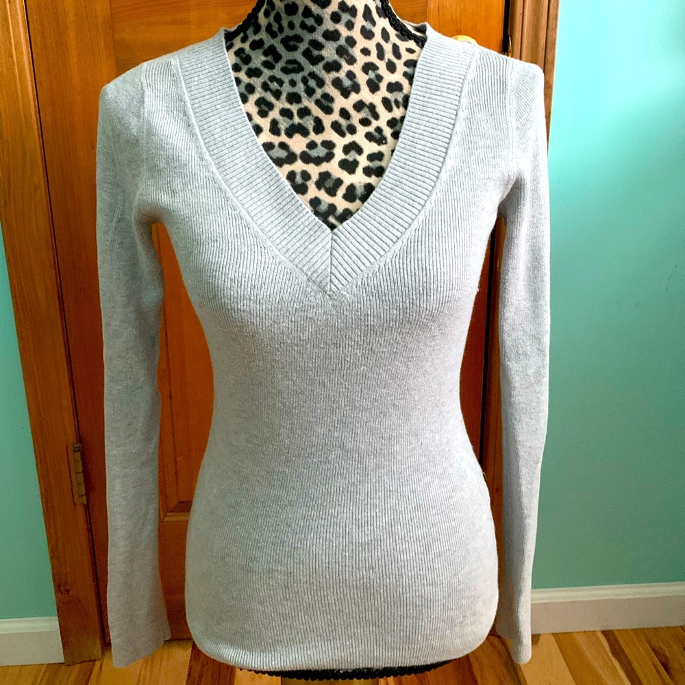 Express S V neck sweater